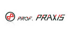 ProfPraxis logo