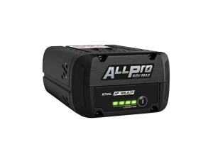 AP 100.0 P